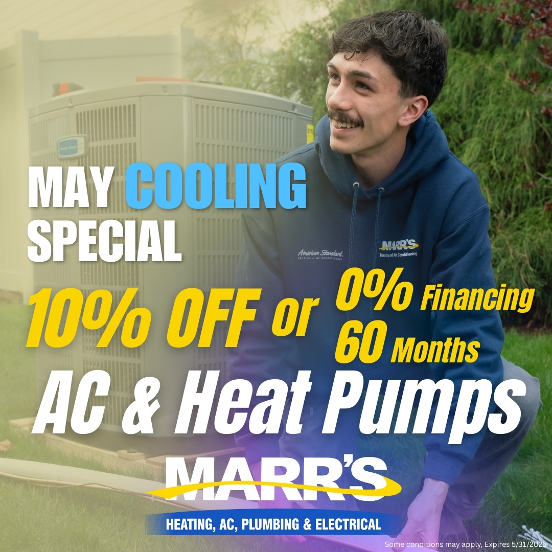 10% off coupon