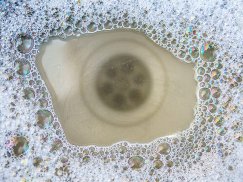 Clogged kitchen sink drain in Bellingham